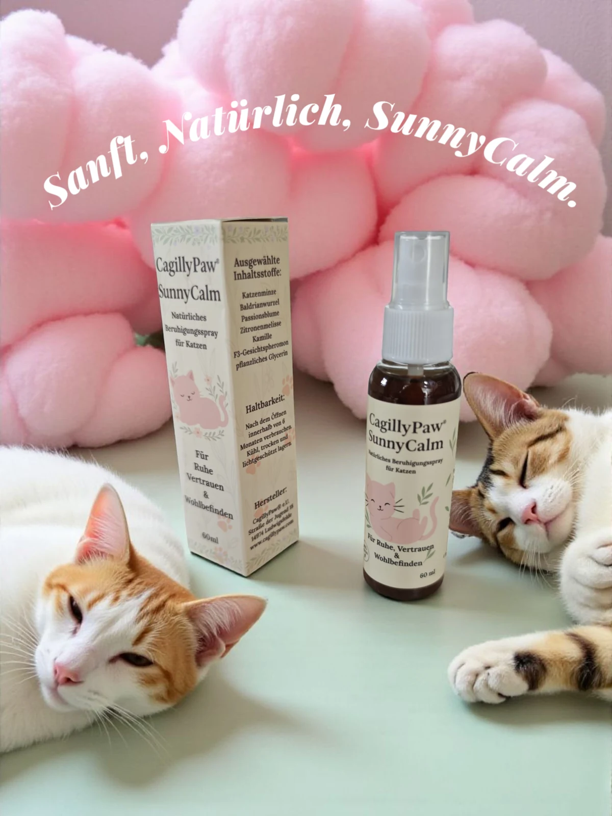 SunnyCalm mit entspannten Katzen